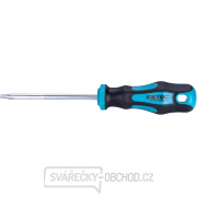 Skrutkovač TORX, TTa25x100mm, CrV gallery main image