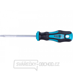 Skrutkovač TORX, TTa25x100mm, CrV gallery main image