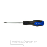 Šroubovák Torx t10x100 mm GEKO (10/100) gallery main image