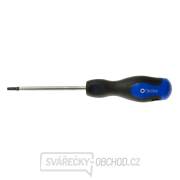 Šroubovák Torx t20x100 mm GEKO (10/100) gallery main image