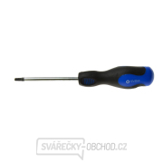 Šroubovák Torx t27x100 mm GEKO (10/100) gallery main image