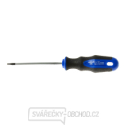 Šroubovák Torx t6x75 mm GEKO (10/100) gallery main image