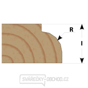 IGM M138 Zaobľovacia fréza vydutá - R2 D17,34x9,5 L61 S=6 HW Náhľad