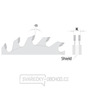 CMT Předřezový kotouč dvoudílný - D120x2,8-3,6 d20 Z12+12 HW Náhled