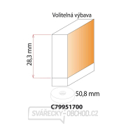 IGM F049 Velká falcovací fréza - H16 D50,8x28,3 L87 S=12 HW Náhled